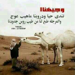 الغرورُ غُبار ، فلا ترفع انفك كثيراً لتتنفسه فسرعةُ انحناء الرأسِ عند العطس كبيرةٌ جداً ! رعد الشلال