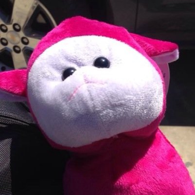 Found face down on the road by 3 bad ass biker bothers and now my travels begin......#travelingleonard