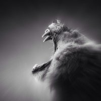 Tamer ŞAN (@tmsfsan) 's Twitter Profile
