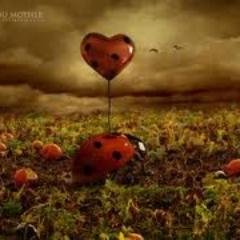 MrriRna's profile picture. الحياة أمانة يعهد لك بها لايحق لك يوم تُسترد منك أن تحتج لأنها في الحقيقة ليست ملكك