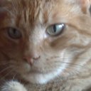 Alex McClellan - @ColdRottenTater - Twitter