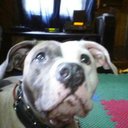 David stidham - @stidham_d - Twitter