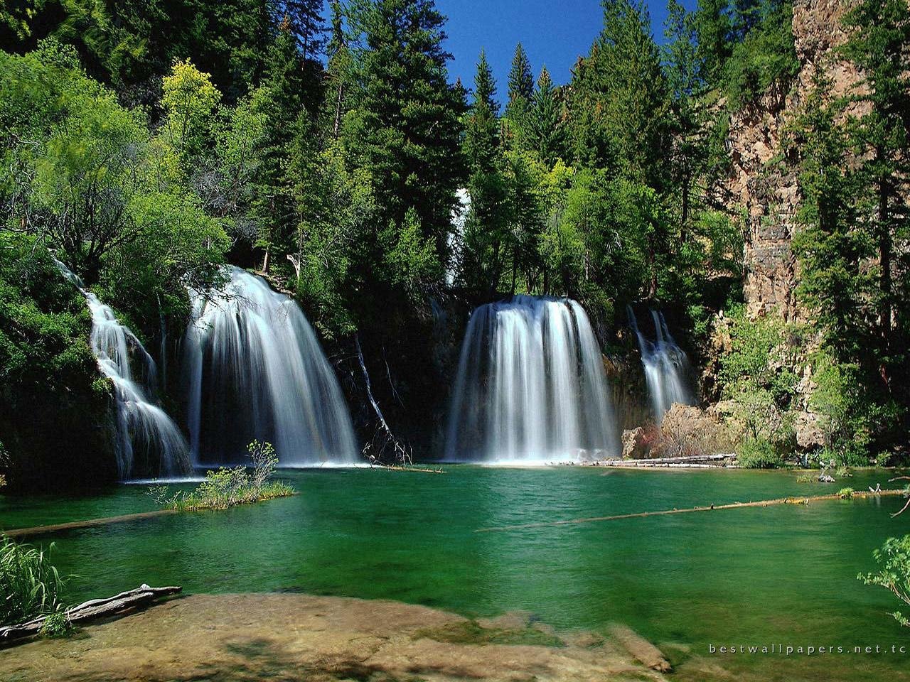 altoavilio's profile picture. 