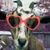 twisted old goat always will be (@lowie74rich) Twitter profile photo