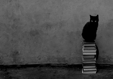 bookstuff9's profile picture. 