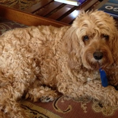 dmpyers's profile picture. 