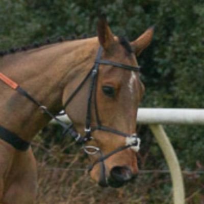 charliesam88's profile picture. 