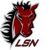 Broncos Swim & Dive (@LSNorthswim) Twitter profile photo