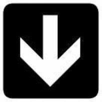 woodenarow's profile picture. 