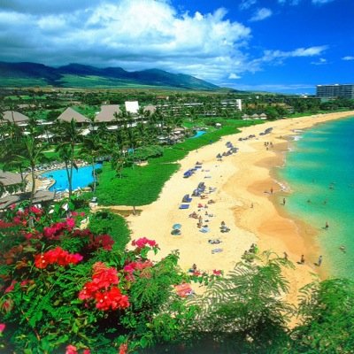 What will happen when these celebrities are shipwrecked in Hawaii with no way out? Join to find out!