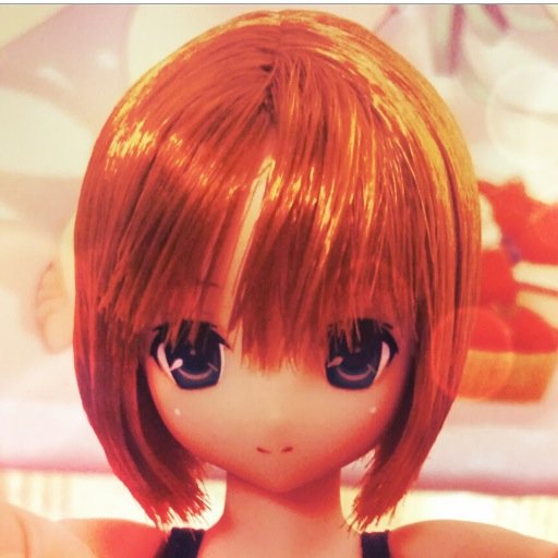 アニメ、フィギュア、ゲーム、ドールなど幅広く漁ってます。　新たな趣味を詮索中。