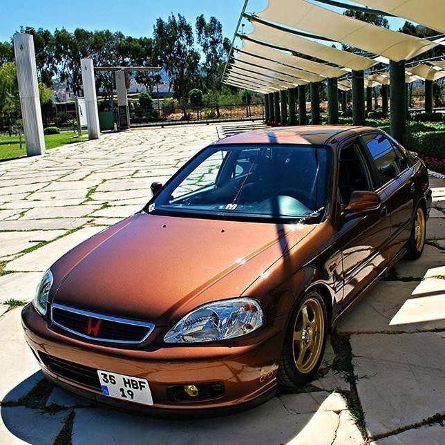 insan sever