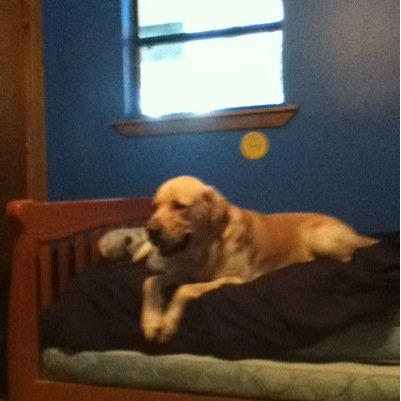 crackerthelab's profile picture. follow @t_of_the_b