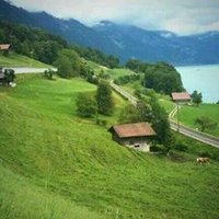 7asan (@tab6raia) Twitter profile photo