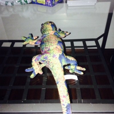 Sebimitdrbaum's profile picture. 