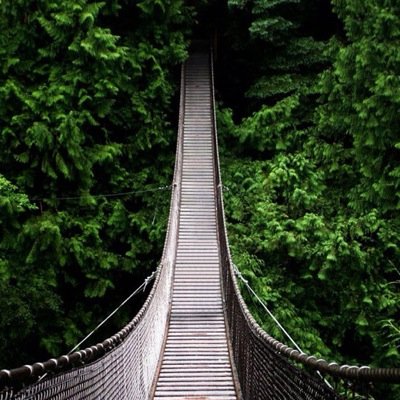 MorgvnS's profile picture. Bio