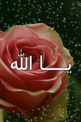 ‏‏‏‏‏‏‏‏‏‏‏‏‏‏‏ذكرالله أكبر نعمه...   ومحاسبة النفس واجب.... $ جامعة الأميرة نورة