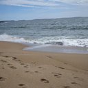 Connie LIbby - @Ally0catL - Twitter