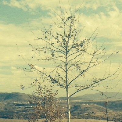 kingofanywhere's profile picture. 