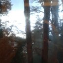 paula solari - @paulasolari1 - Twitter