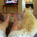 Ross Boling - @BolingRoss - Twitter