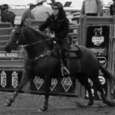 My horse is my world | Beginner barrel racer | Avi is me