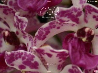 juicer46's profile picture. 