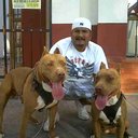 Freddy Aranda - @fred8aranda - Twitter