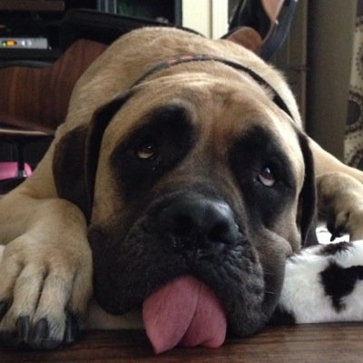 chris_a_monroe's profile picture. 