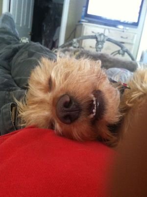 HayatoSuzuki10's profile picture. New York Giants and Mets fan, but a Jersey boy for life. #bigblue #lgm