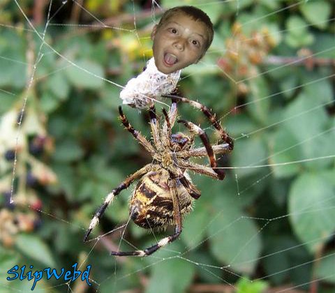 SlipWebd's profile picture. Youtuber. Gamer.