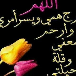Mohamed Yousif I’m work in management