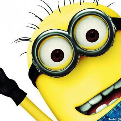 00dbf9dde749476's profile picture. bones
=-O :-P