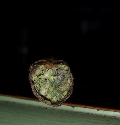 pretty much post weed and weed related posts.. feel free to upload your own