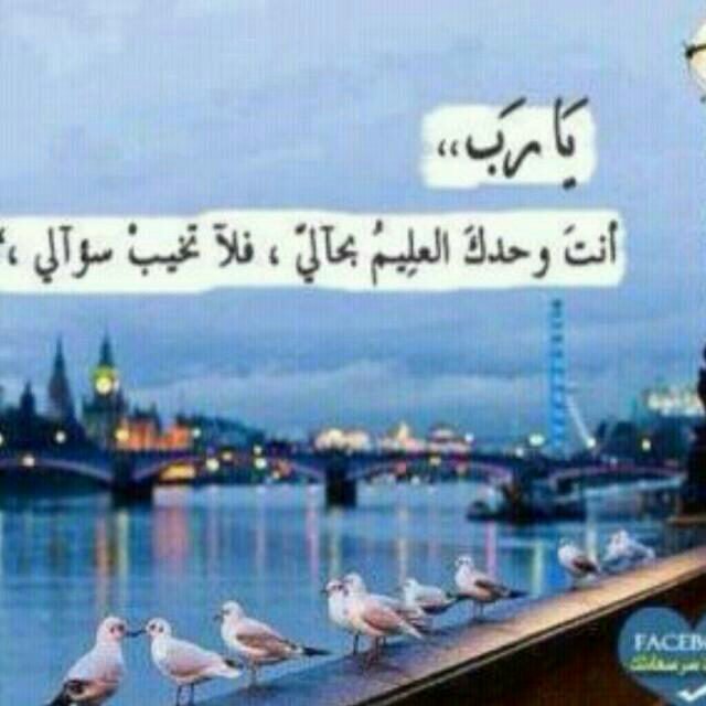 مجالي بعلم النفس وتحليل الشخصيات وحل المشكلات آلخاصه