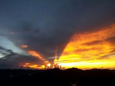 ting_wen_cpa's profile picture. 