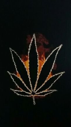 Pictures of the dankest bud and bud accessories. If you like weed you will follow.