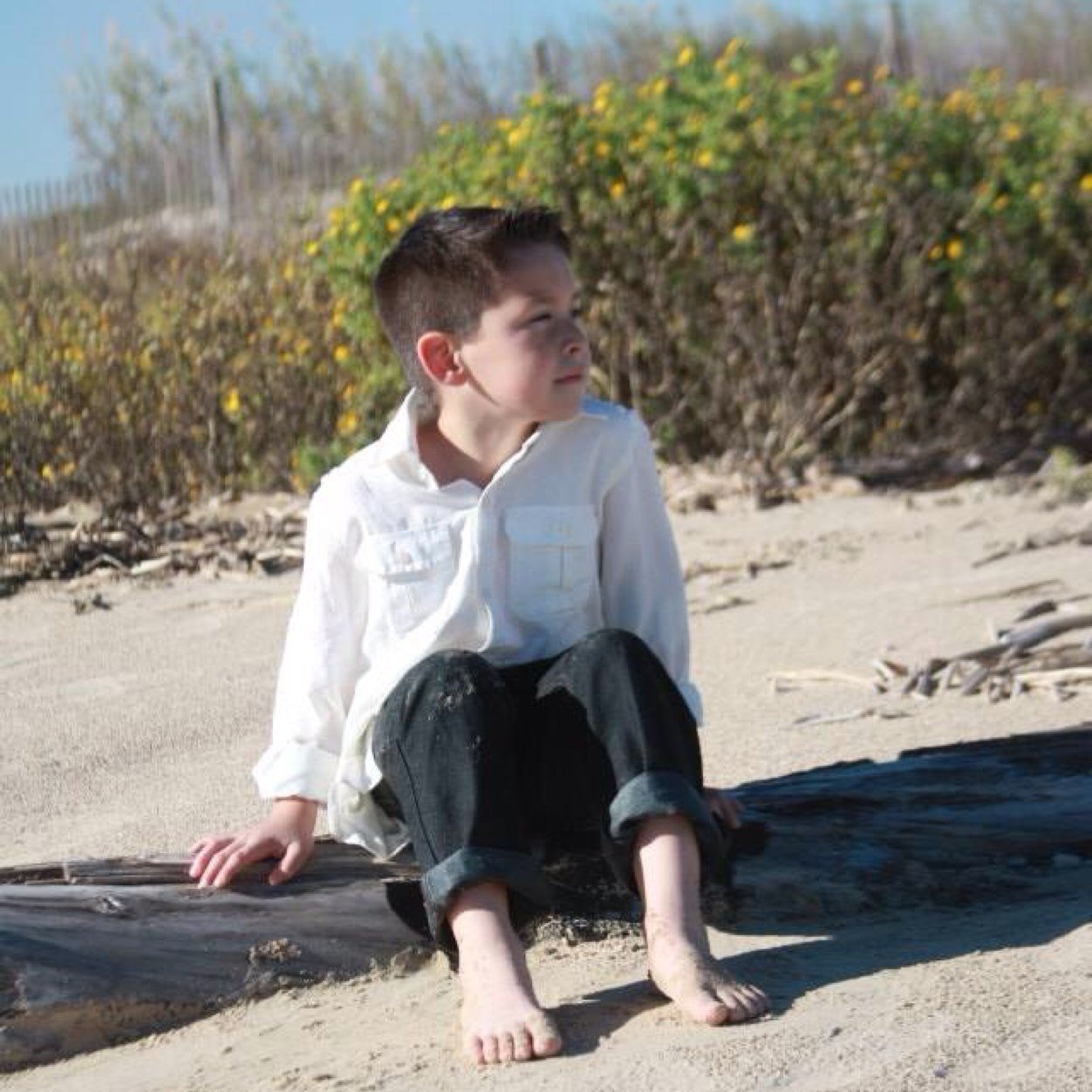 bdrevlis's profile picture. 