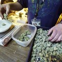 Tom bye - @Tombye6 - Twitter