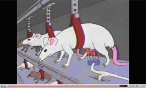 an0nra's profile picture. 