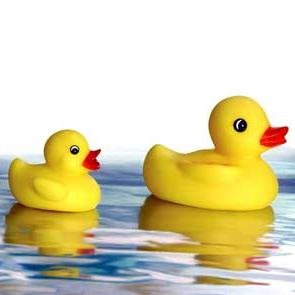 S_Shay's profile picture. **Retired 🤗**
Adult Programming Coordinator at Washington-Centerville Public Library, 1999-2018