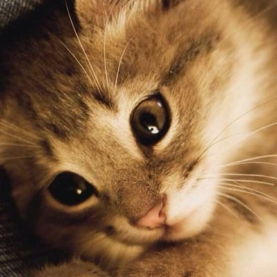 samurai20141's profile picture. 