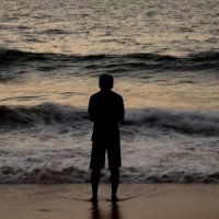 निकुंज ठक्कर  (@nikunjthakkar3) 's Twitter Profile