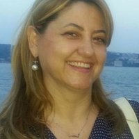 Banu Sezginer (@banusezginer) Twitter profile photo