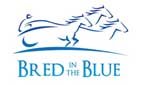 Want to buy a standardbred broodmare, stallion or young stock - Then this is the place for you!! We look after breeding stock - on and off the track
