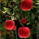 JAMES KEO - @specialliaison - Twitter