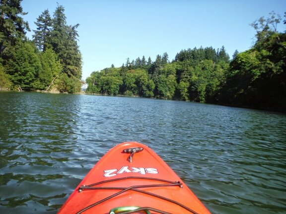 lostone65's profile picture. Wandering through life enjoying family, travel, baseball, and the ocean.