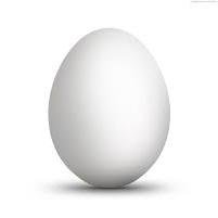 I am a lonely girl egg looking to find a boy egg.