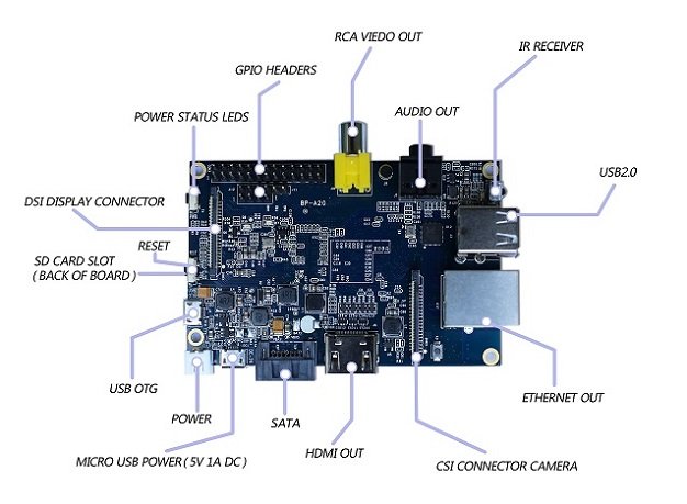 Bananapi_Tina's profile picture. 