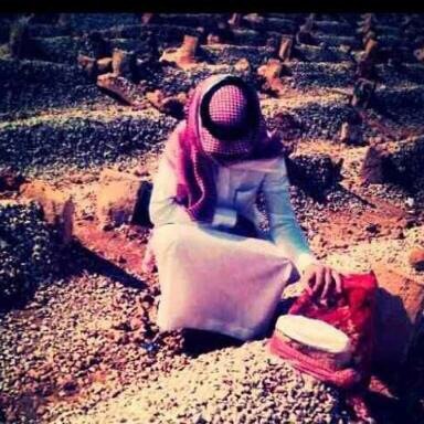 ✨اللهم ضآآعف بالحسنات اضعاف ما اغرد له✨